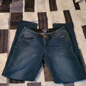 Democracy Ab Technology Skinny Ankle Jeans